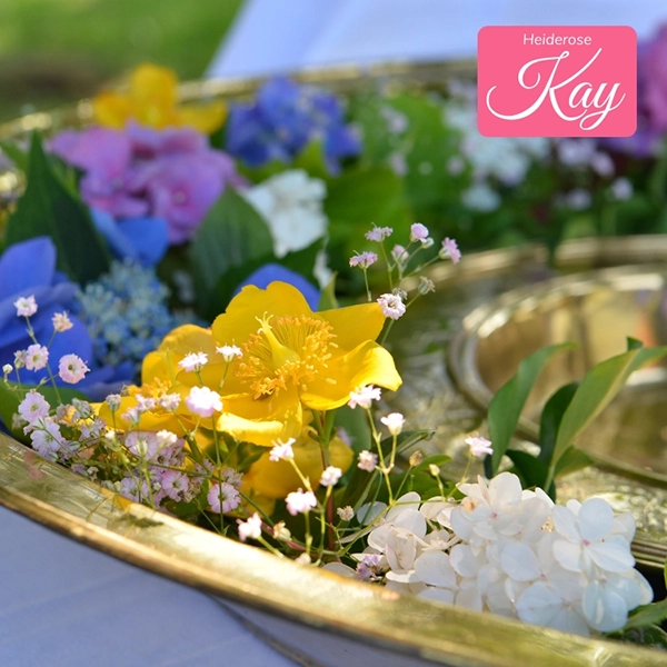 heiderose-kay-elemente-600x600-3